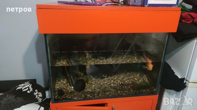 аквариум 224л. с шкаф