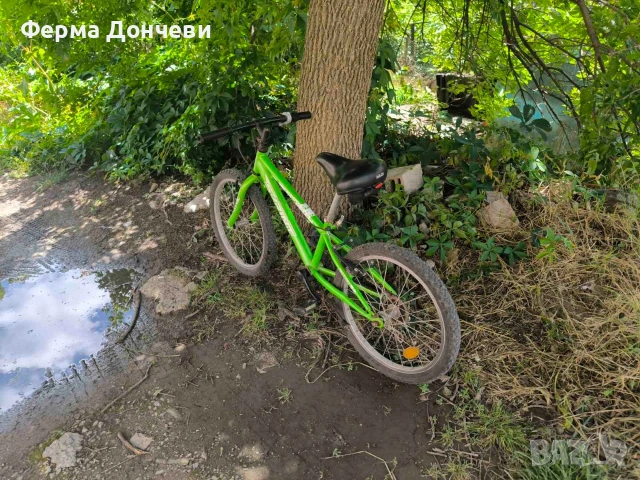 Детски велосипед 20 цола зелен, снимка 3 - Велосипеди - 54940486