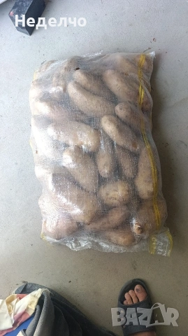 Картофи за Пълнене Едри