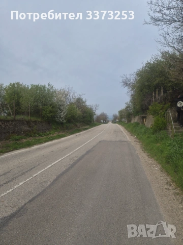 Къща с голям двор 2700 кв.м в с.Гъмзово , снимка 4 - Къщи - 54223264