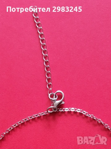 Сребристо колие с лапичка , снимка 3 - Колиета, медальони, синджири - 54021700