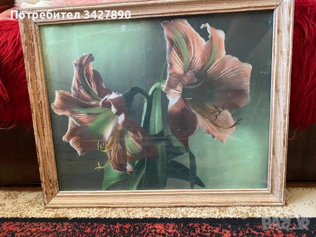 Продавам картини, снимка 2 - Картини - 55086010