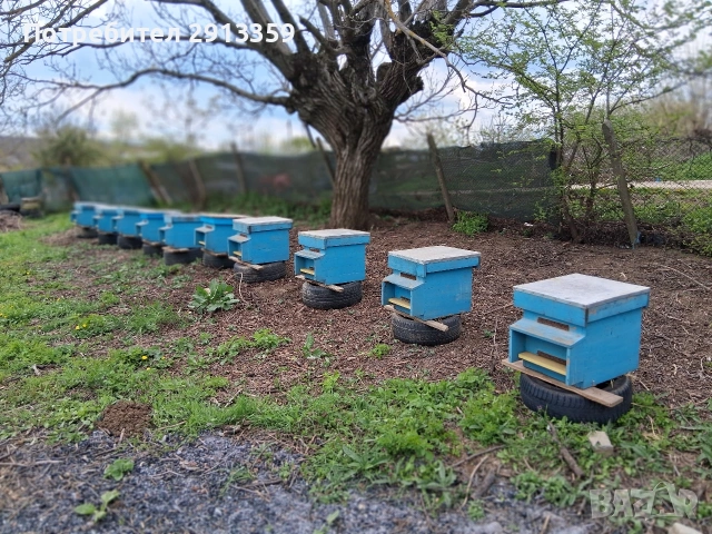 10 броя кошера с чисто нови магазини и обурудване