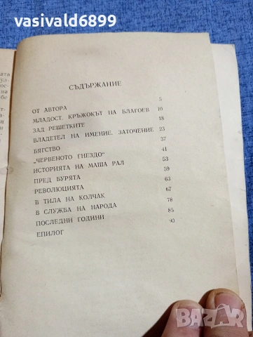 Шейнис - Повест за княз Кугушев, безпартийния болшевик , снимка 5 - Художествена литература - 54346997
