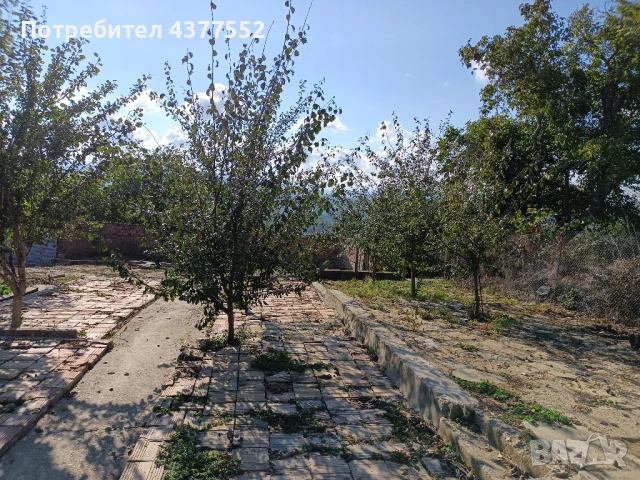Продавам къща в село Черни Бряг, община Антоново, 64 кв.м с двор, снимка 11 - Къщи - 54828963