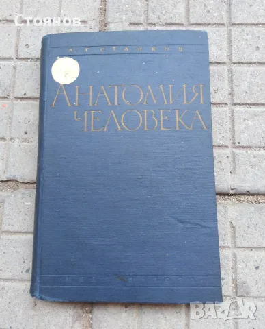 КНИГИ ! ОБРАЗОВАТЕЛНА ЛИТЕРАТУРА ! , снимка 3 - Учебници, учебни тетрадки - 55483494