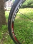 Stevens vuelta world champion, снимка 15