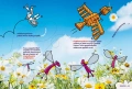Фактопия: 400 факта (Енциклопедия Британика), снимка 4