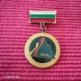 Рядка значка, нагръден знак Еверест 84 година. , снимка 1