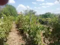 Продава се вила, местността Орлето , снимка 8