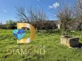 Едноетажна къща в село Орлов дол, общ. Тополовград, снимка 8
