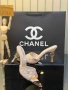 Yves Saint Laurent ⚜️ Christian Louboutin⚜️ Chanel ⚜️Дамски Чехли , снимка 12