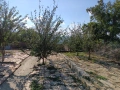 Продавам къща в село Черни Бряг, община Антоново, 64 кв.м с двор, снимка 11