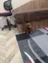 Мини пудел……….., снимка 5