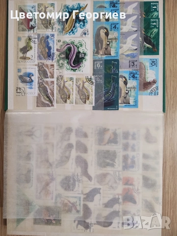 Класьор с марки 300 бр. К.1, снимка 3 - Филателия - 54739584