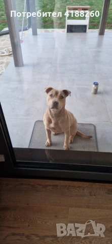 Подарявам АМ. СТАФ