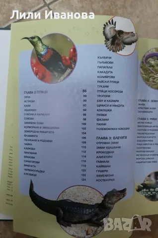 Голяма енциклопедия на ЖИВОТНИТЕ- ПАН, снимка 4 - Детски книжки - 55524033