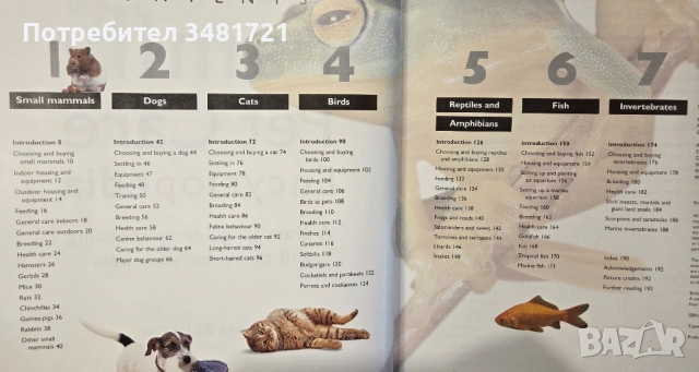 Енциклопедия за домашни любимци / The Hamlyn Family Pet Care Encyclopedia, снимка 2 - Енциклопедии, справочници - 54167821