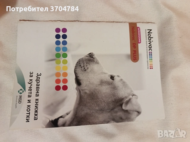 Продавам джак ръсел , снимка 4 - Джак ръсел териер - 54314143