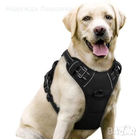 Нагръдник за кучета без дърпане – Черен L