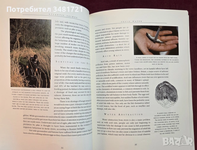 Атлантическата сьомга - илюстриран справочник / Atlantic Salmon. An Illustrated History, снимка 8 - Енциклопедии, справочници - 54956938