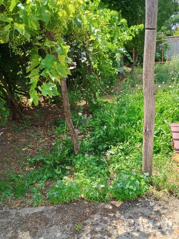 Продава,заменя къща в Д.Митрополия за жилище в Плевен , снимка 15 - Къщи - 54277590