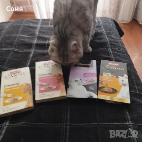 Лакомства за котки