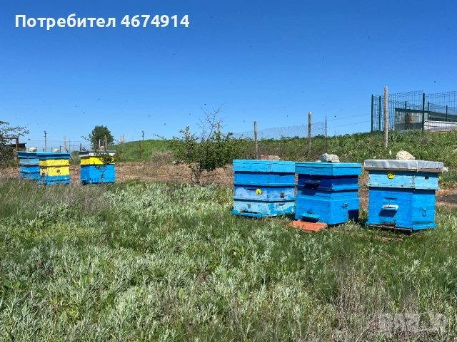 Пчелни кошери в гр. Варна, снимка 2 - За пчели - 54324749