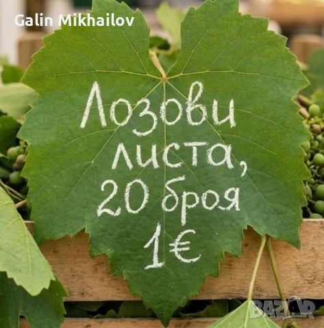 Черници плод , лозови листа , сезонни билки, снимка 5 - Домашни продукти - 54907435