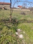 Парцел с.Тулово, снимка 4