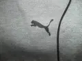 Къси панталони PUMA-BMW  мъжки,Л, снимка 3