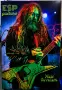 Max Cavalera ESP Guitars-картина в рамка, снимка 1