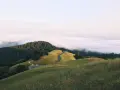 Гребло за листа многофункционално с дълга дръжка 2W4M, снимка 2