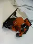 2025 - Hilti SC 6WL - 22 / Nuron - Акумулаторен циркуляр, снимка 6