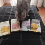 Лакомства за котки, снимка 1
