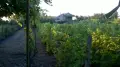 ПРОДАВАМ ВИЛА С ЛОЗЕ, снимка 8