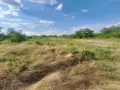 Парцел в местността Долни Брантии, снимка 1