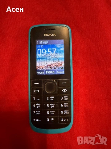 Nokia 113