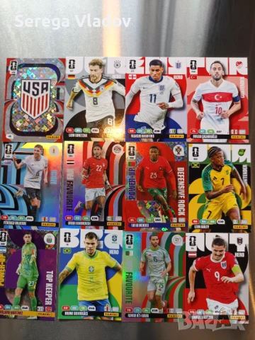 Panini card 