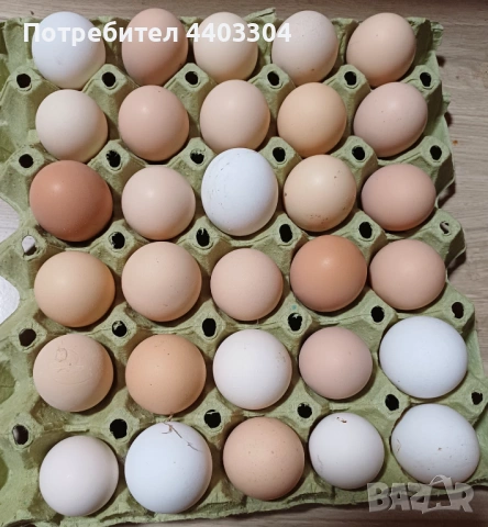 Домашни яйца 