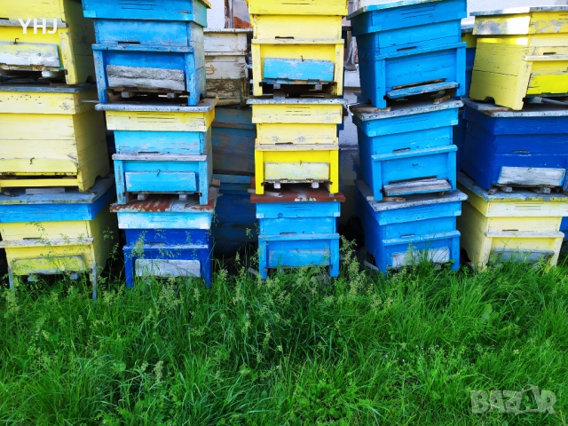 Продавам пчелни кошери, снимка 2 - За пчели - 54674319