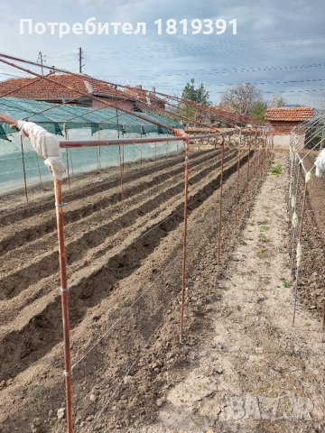 Оранжерия, снимка 2 - Оранжерии - 54182410