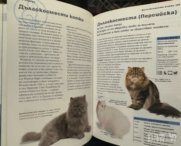 Всичко за котката -д-р Брус Фогъл-наръчник на собственика, снимка 3 - Енциклопедии, справочници - 54399030