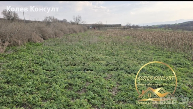 Парцел със стара къща село Георги Добрево, снимка 4 - Къщи - 54374894