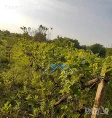 Вила 50м2, двор 3112м2, 73500евро, намалена цена, Страшимирово, снимка 6 - Вили - 54681494