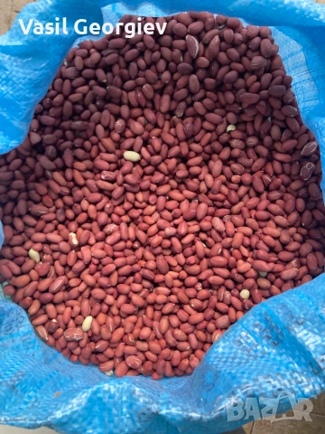 продавам фъстъци, снимка 3 - Домашни продукти - 55215437