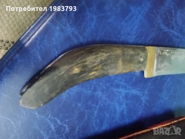 Майсторски нож от биволски рог и красива ръчно рисувана орнаментика и кания., снимка 4 - Ножове - 54691267