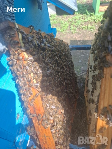 Продавам домашен пчелен мед.Собствено произвдоство., снимка 2 - Пчелни продукти - 39311531