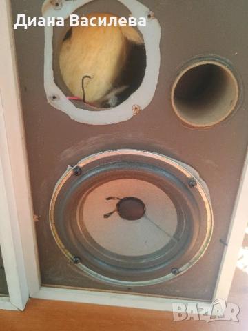 Bose interaudio-1000, снимка 4 - Тонколони - 54878395