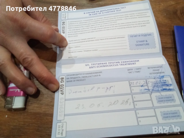  Уелско Корги , снимка 7 - Други - 53990719